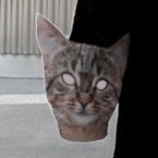 Cate coin logo