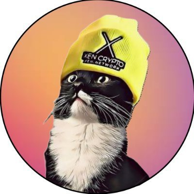 xen kitty Logo